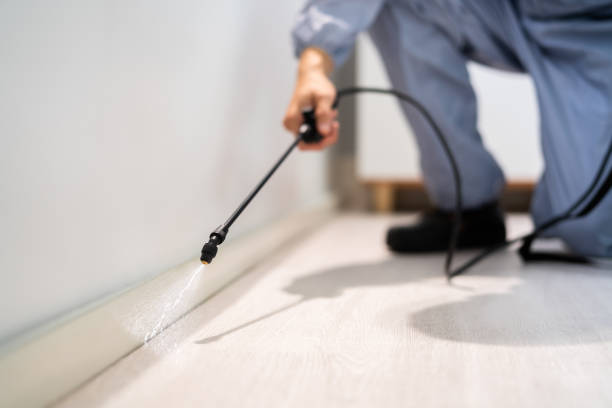 Licensed Rodent Control service in Morrow, OH - Nex Pest Control