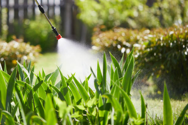 24/7 Emergency Rodent Control experts in Morrow, OH