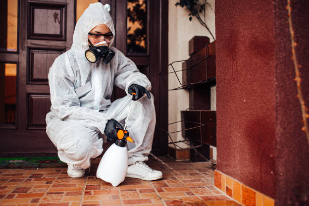 Reliable Rodent Control contractor in Morrow, OH by Nex Pest Control