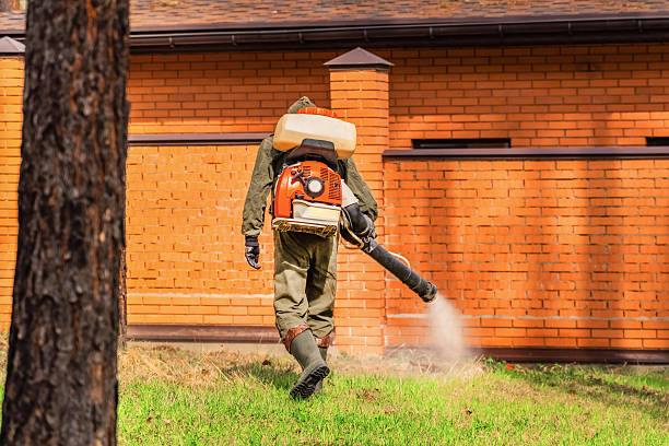 Top rated local Rodent Control specialists in Morrow, OH